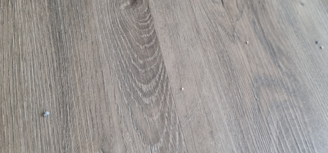 Zuigkracht van 3000 Pa en 1 borstel