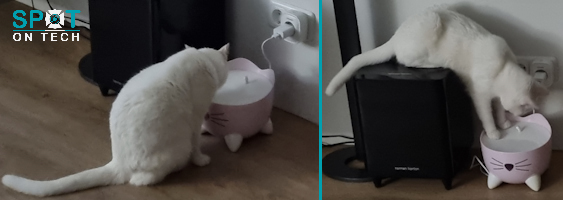 Luna drinkt uit Catit Pixi drinkfontein