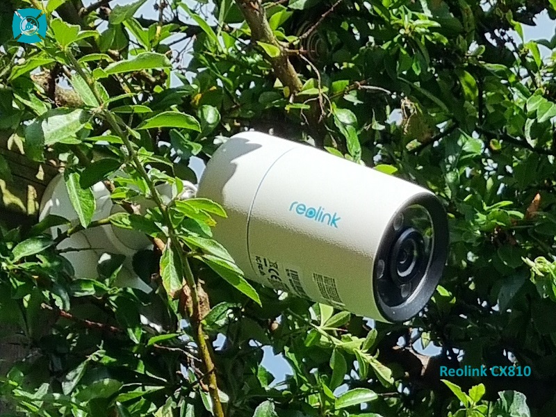 Reolink CX810