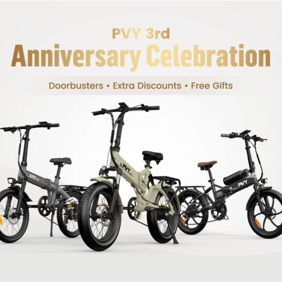PVY third anniversary discount code coupon