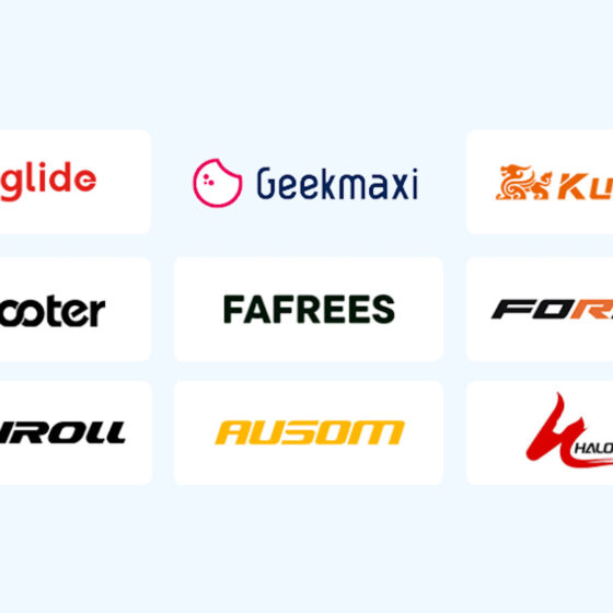 Geekmaxi e-bike merken